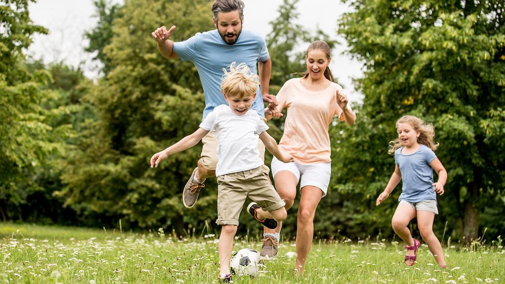 shutterstock_1013869084