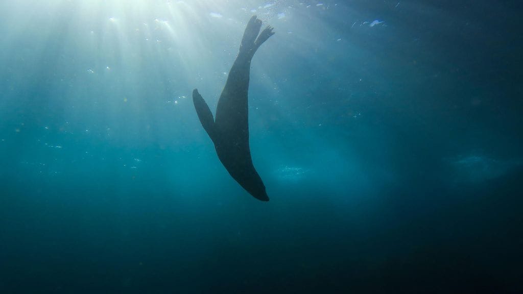 shutterstock_548221882