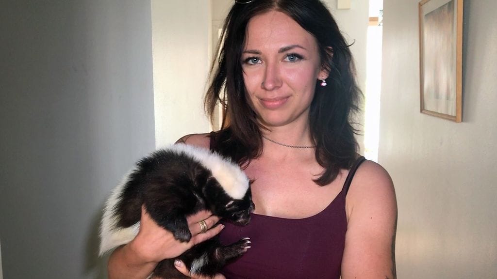 Haisunäätä Wilma, omistaja Sinna Grönroos