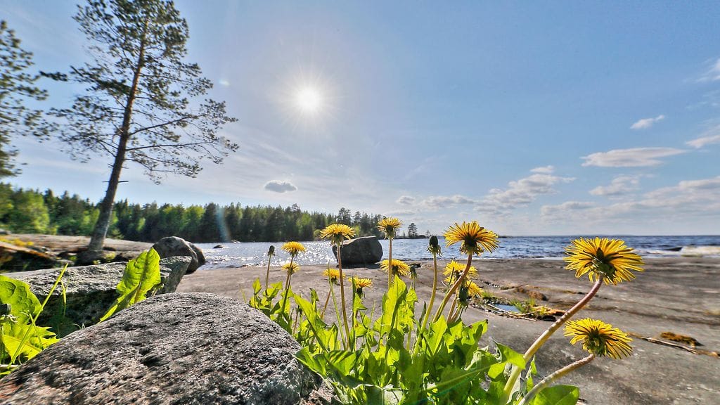 UV-indeksin arvo kolme ylitettiin toukokuussa joka päivä vapunpäivää lukuunottamatta.