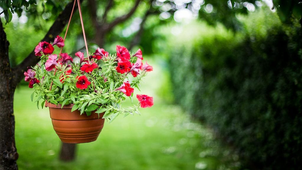 Kukkapenkki 3 Asuntomessut-artikkeli