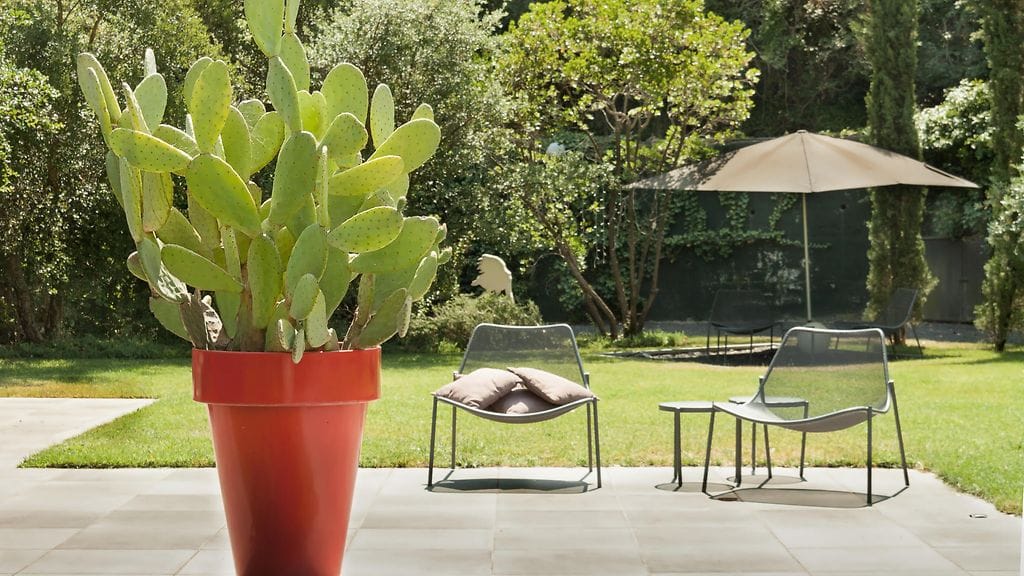 Piha kaktus Asuntomessut