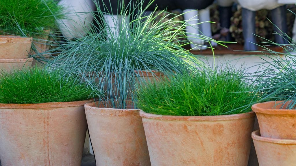 Heinä ruukku Asuntomessut