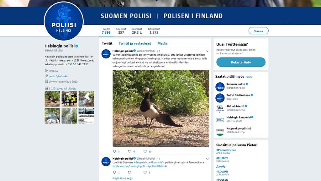 Poliisi julkaisi Twitterissä karun kuvan valkoposkihanhesta, jonka siipi oli osin repeytynyt irti.