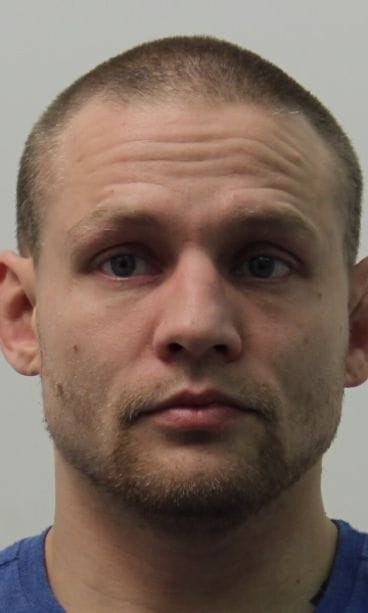 71537_LEHMUSMETSA_Ville