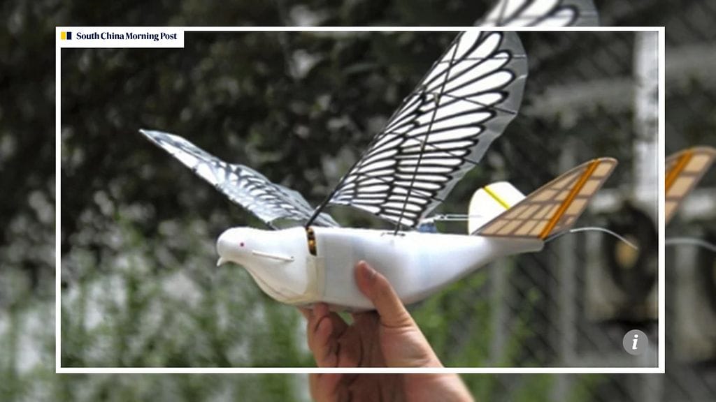 Kuvan lähde South China Morning Post