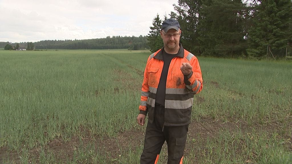 Jyri Seuna, viljelijä