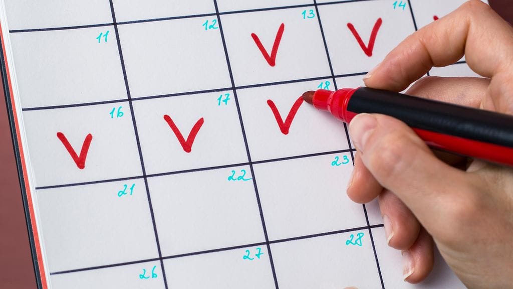 shutterstock_1121314259