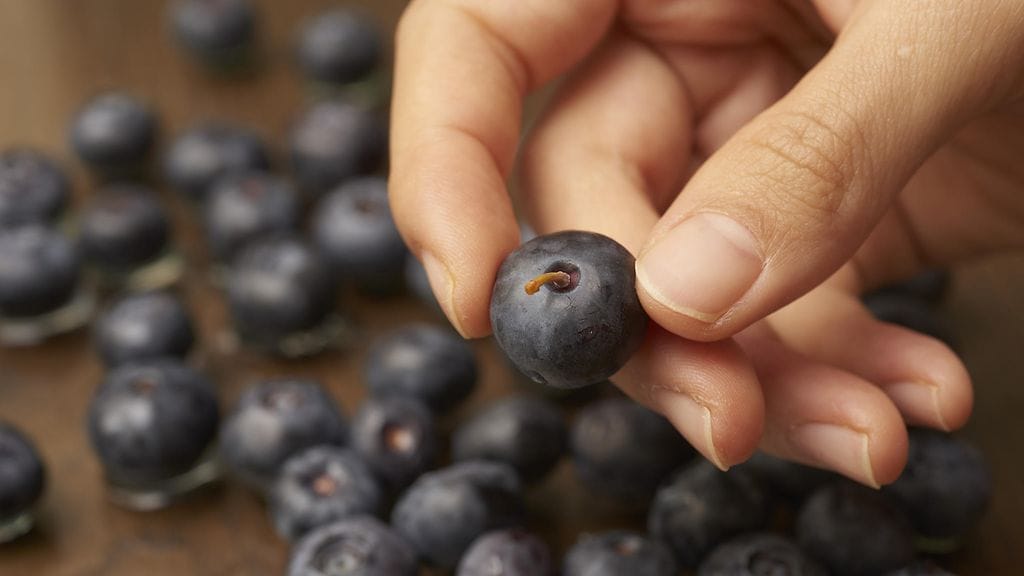 Kotimaiset metsämustikat sisältävät runsaasti hyödyllisiä ainesosia.