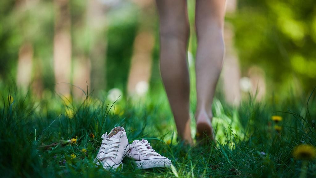 shutterstock_276311909