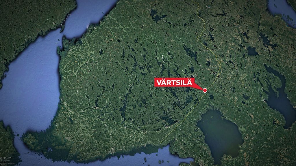 Päällisin puolin lopetetut eläimet ovat olleet terveenoloisia.