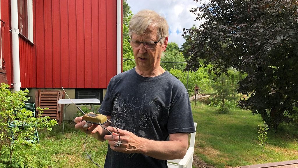 Hannu Ekblom, merikotka, rengastaja