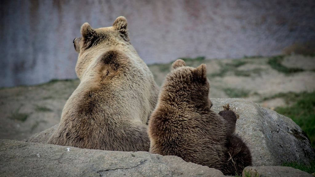 30707222_10156179869982225_5394903330969354240_o