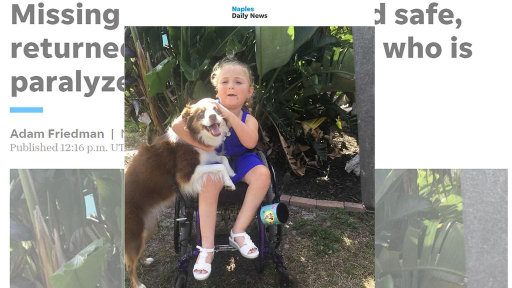 Kuvanlähdenaplesnewscom