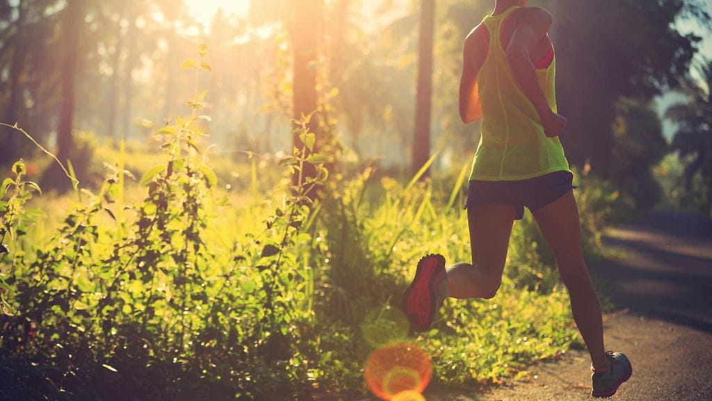 shutterstock_608739416