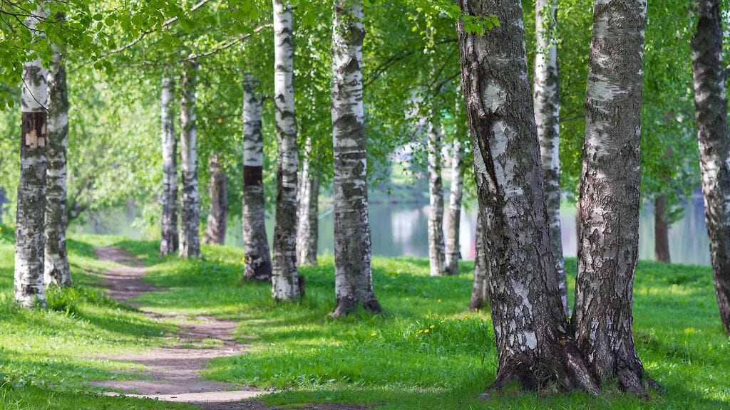 shutterstock_1046796916