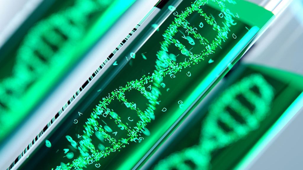 shutterstock_793257796