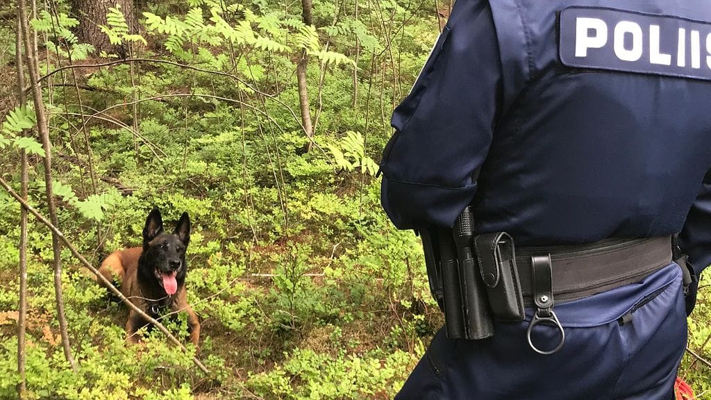 Poliisikoira auttoi löytämään kadonneen miehen maastosta. Kuva on kuvituskuva eikä liity tapaukseen.
