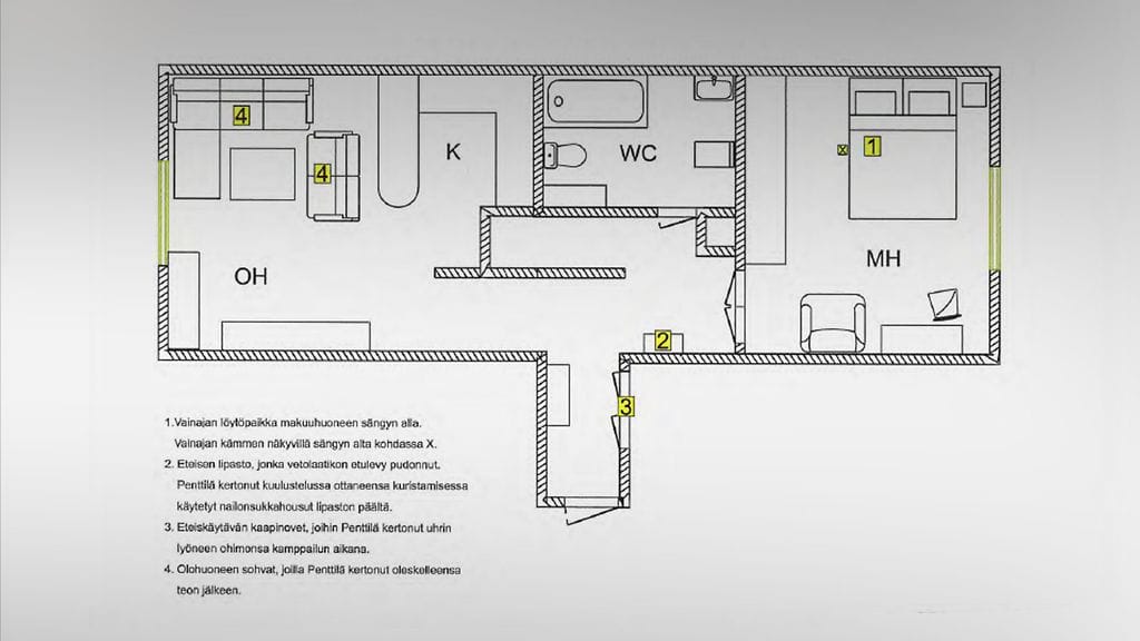 sarjakuristaja huone