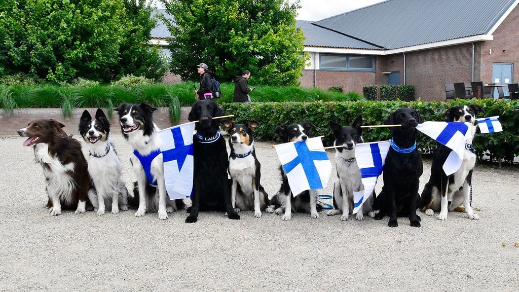 HUOM KUVA VAIN LIFESTYLEN ARTIKKELIIN