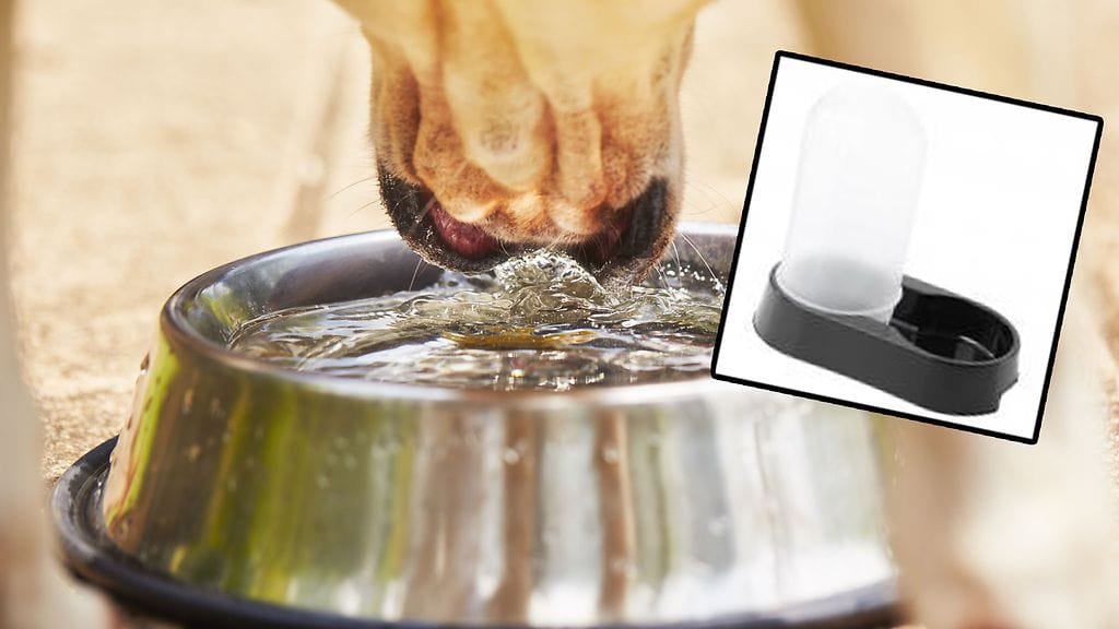 Lemmikeille tarkoitetusta vesiautomaatista paljastui karmea riski.