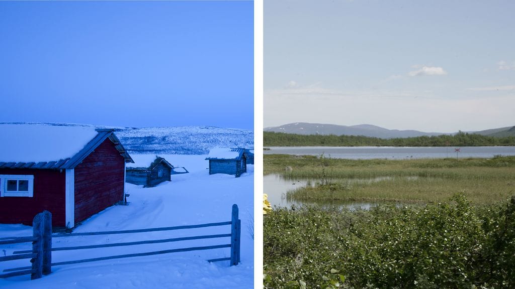 Kuvaa Lapista talvella ja kesällä.