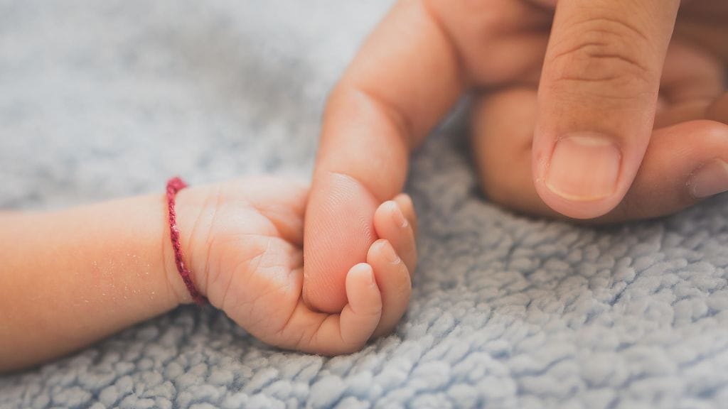 shutterstock_220013761