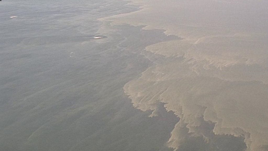 Rajavartiolaitoksen kuvaa sinilevätilanteesta Suomenlahdella heinäkuussa 2018.