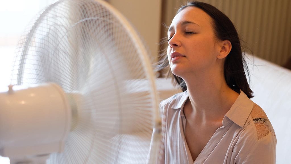 shutterstock_1079632649