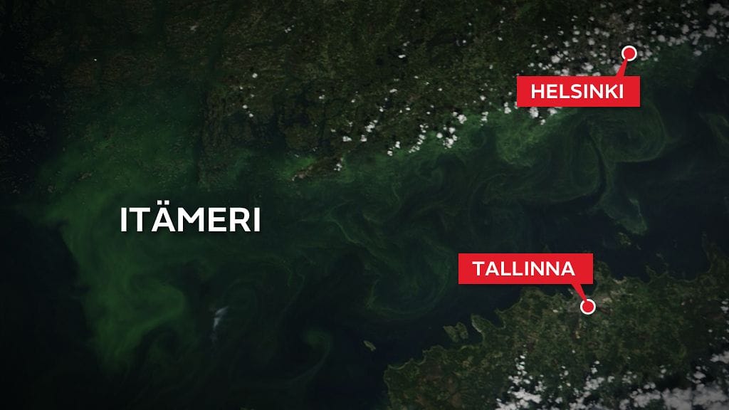 itameri-kartta-sinileva