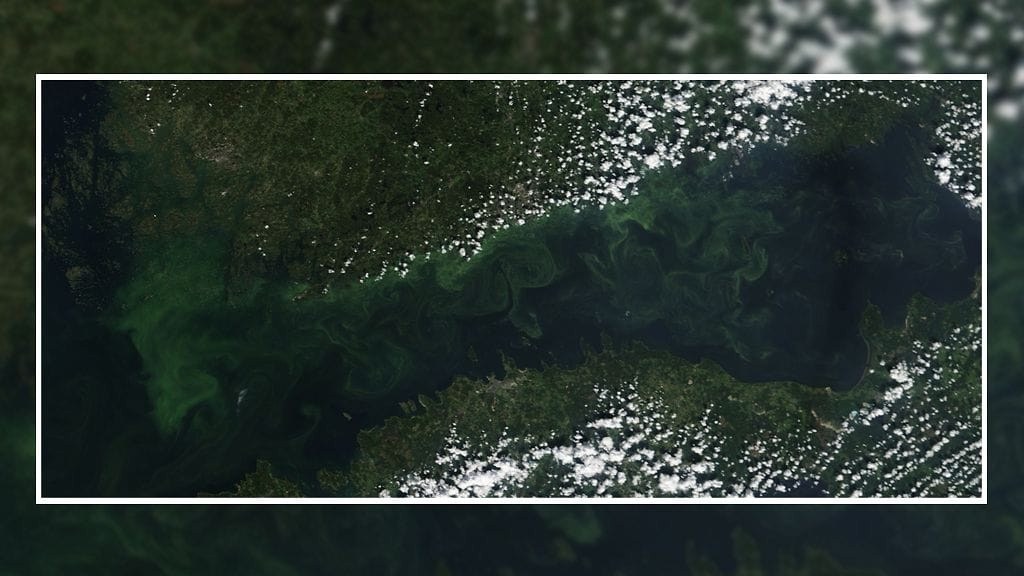 itameri-sinileva-kartta