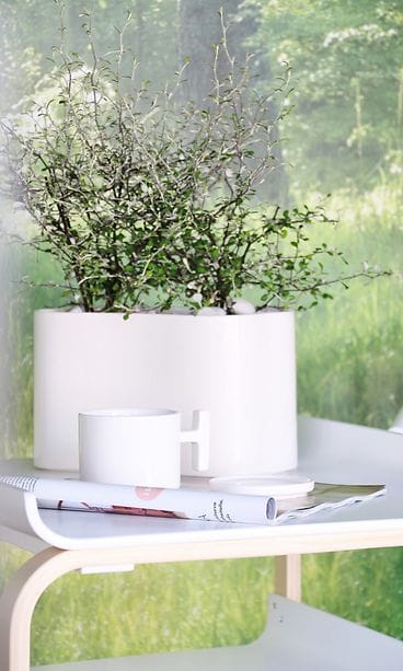 Dekon kesähuone (7)