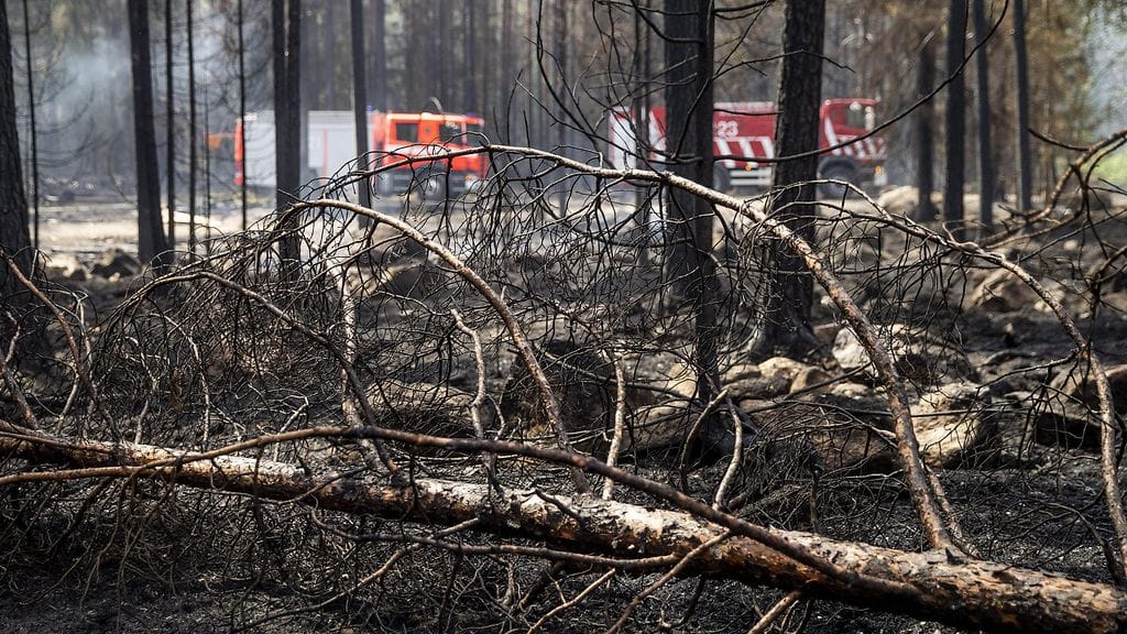 Pyhäranta maastopalo (4)