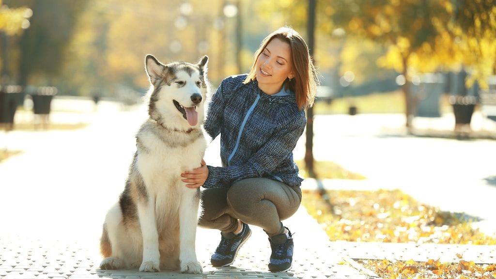 shutterstock_379830277