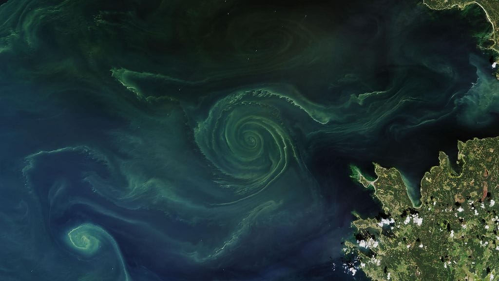 Nasa_Sinilevapyorre 1