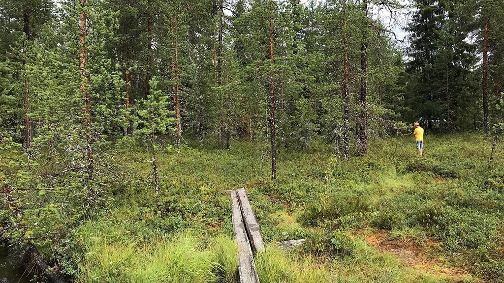 sÄÄKILAHTI PITKOSPUILLA