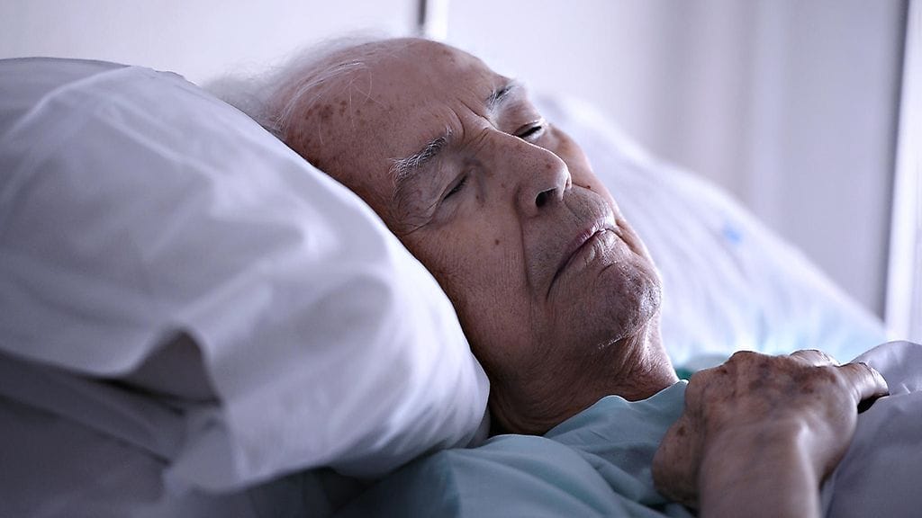 shutterstock_255216898