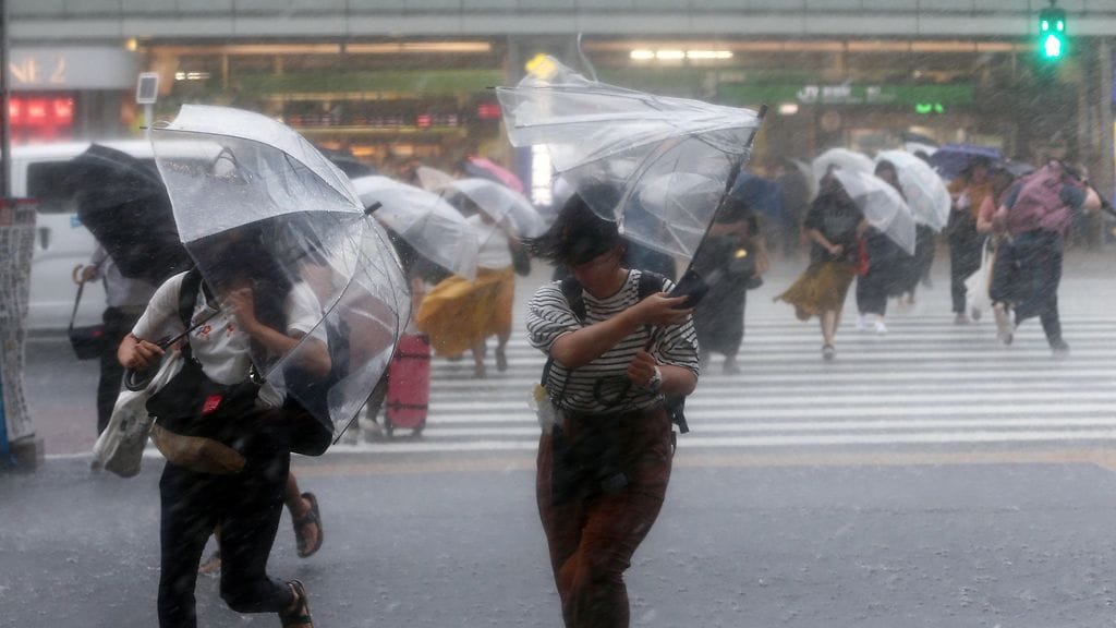 AOP Jongdari myrsky Japani