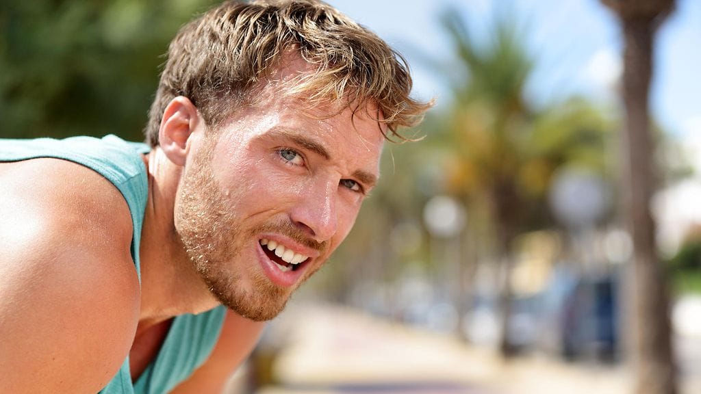 shutterstock_1017406066