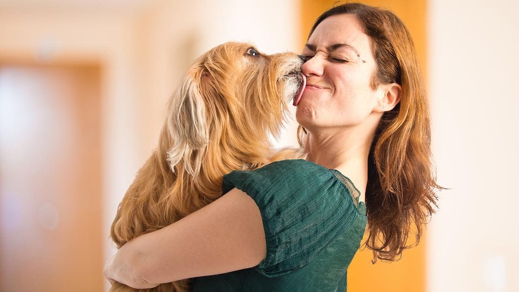 shutterstock_295906826