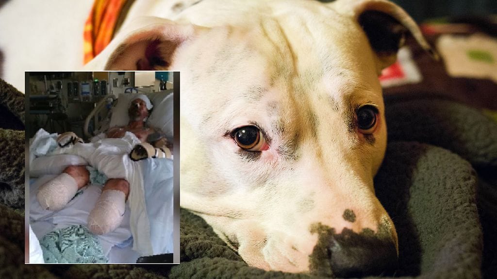 shutterstock_1023484084 (1)