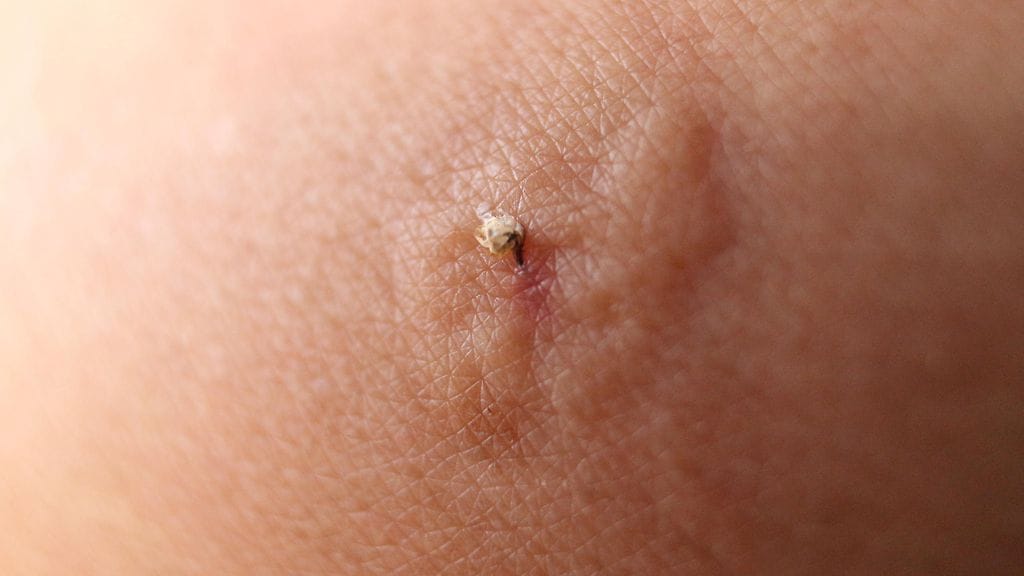 shutterstock_1074432659