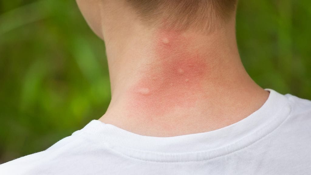 shutterstock_436509421