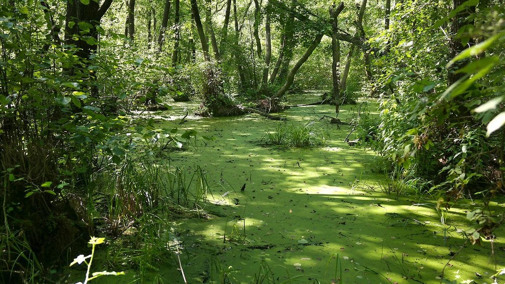 shutterstock_620077196