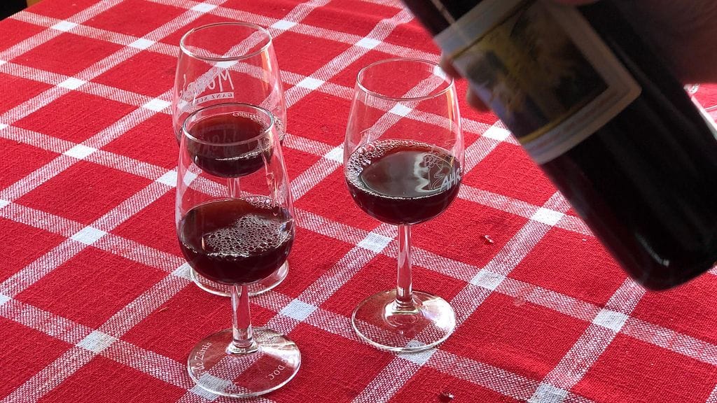 viini, viininviljely, Tuusula, Juha Karvonen, viini