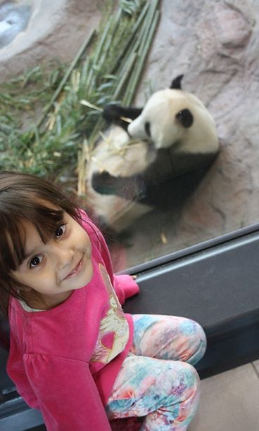 Laura_Zia_Pyryn kanssa