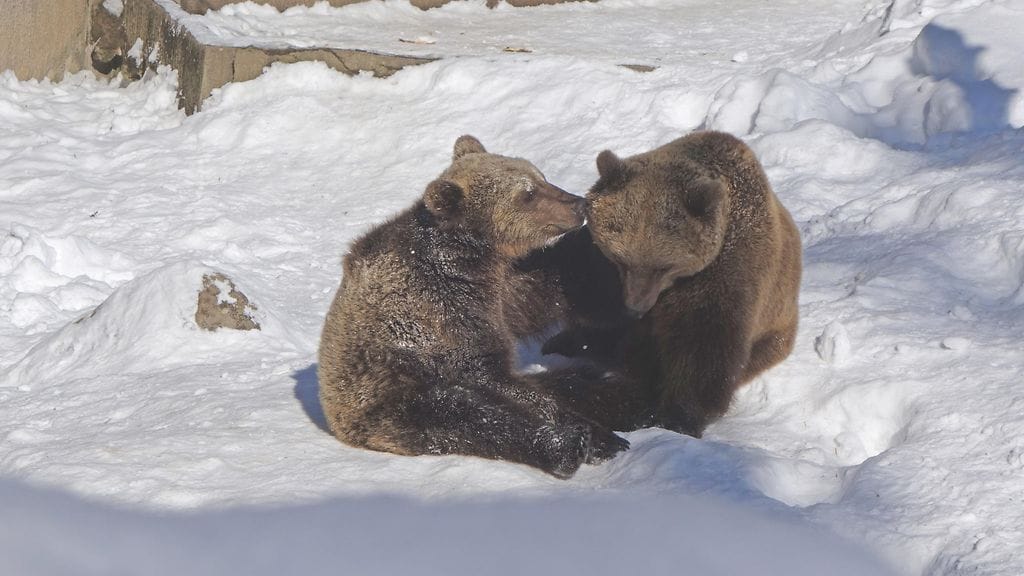 Paula_Salo_DSC00396_edited-1