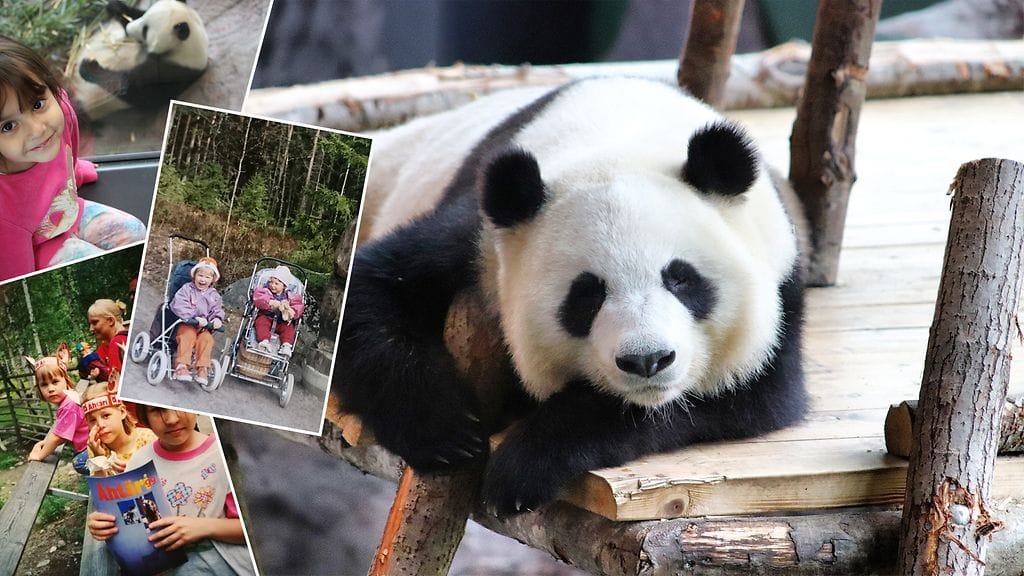 Ihmisillä on monia muistoja Ähtärin eläintarhasta.