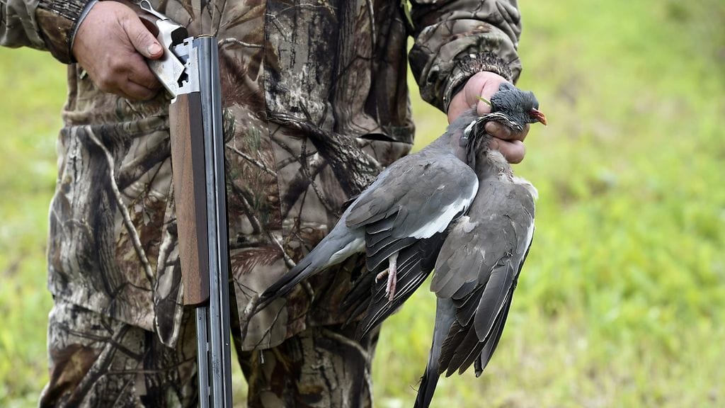 Kuvituskuvaa metsästyksestä.