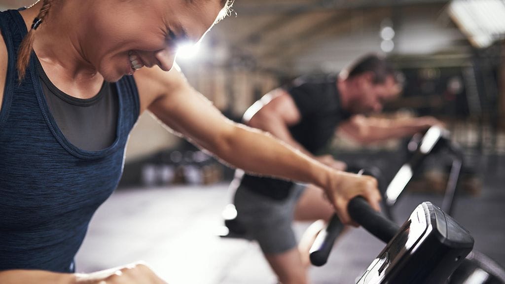 shutterstock_564014254